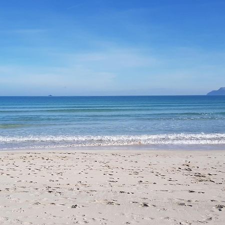 Ideal Property Mallorca - Concha Port de Alcudia  Eksteriør billede