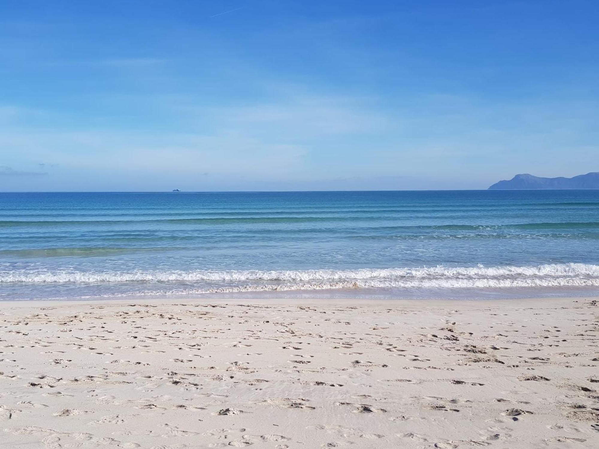 Ideal Property Mallorca - Concha Port de Alcudia  Eksteriør billede